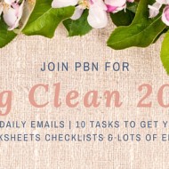 Join the PBN ‘Big Clean 2016’