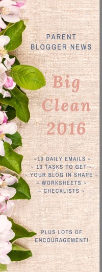 PBN Big Clean 2016 email course sign up